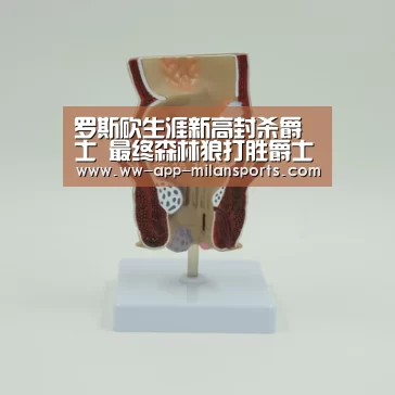 罗斯砍生涯新高封杀爵士 最终森林狼打胜爵士‘米兰体育app官网’(图2) 米兰体育全站app